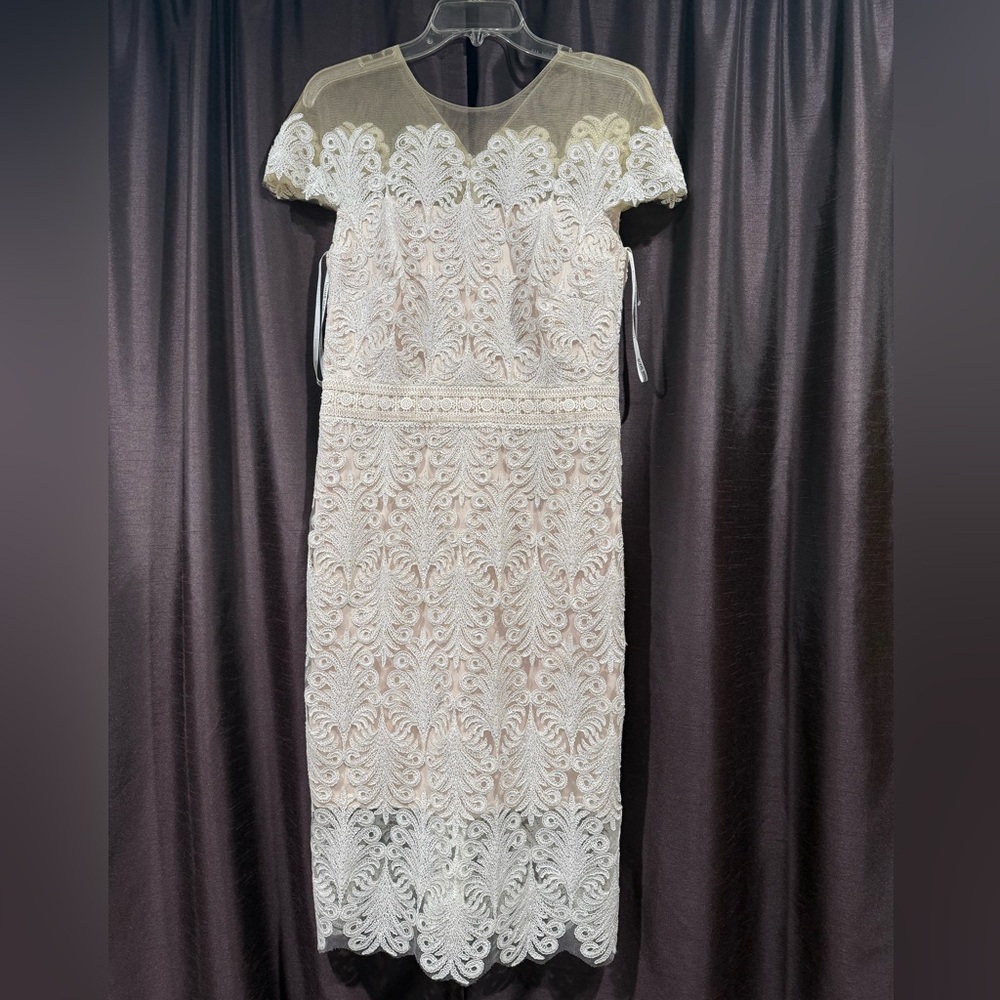 Tadashi Shoji Lace Dress in Cream